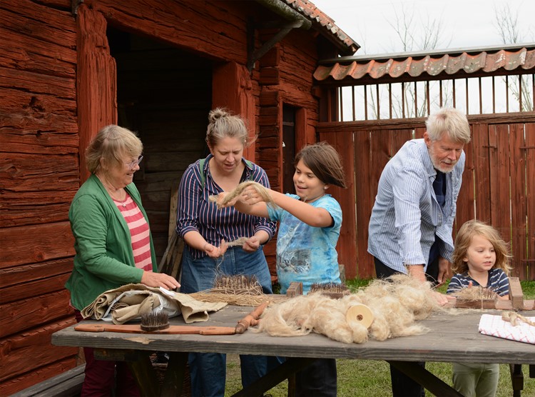 Skördedag / Harvest day