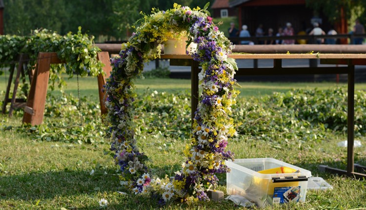 Midsommarförberedelser / Preparations for midsummer