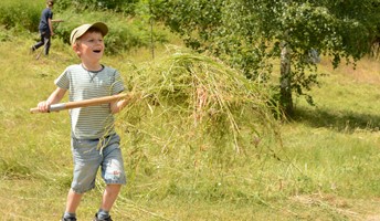 Bild för Slåtter på Disagården / Haymaking day