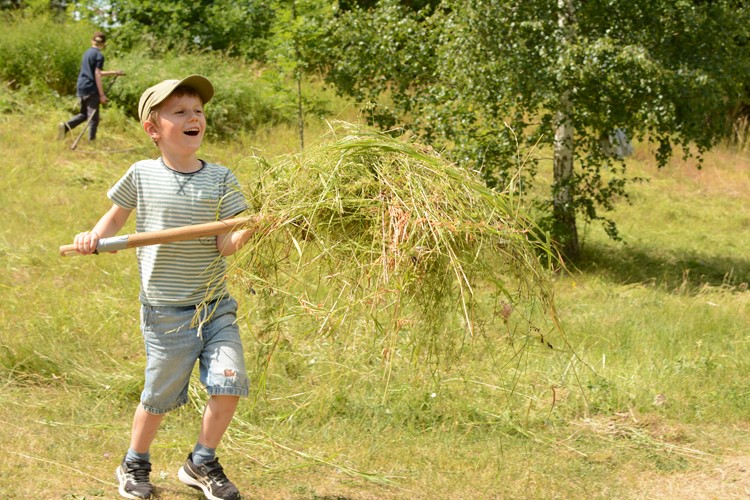 Slåtter på Disagården / Haymaking day