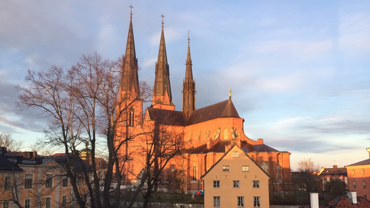 Bland gravar och stenhuggare på Domberget i Uppsala