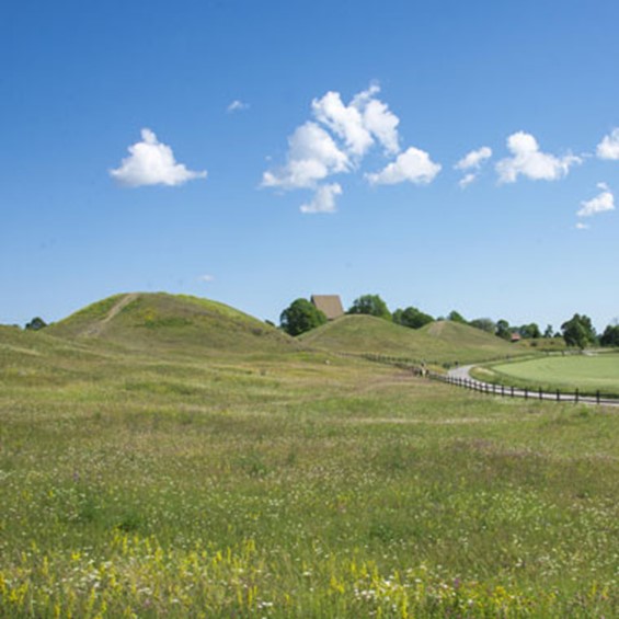 Bild på Gamla Uppsala museum